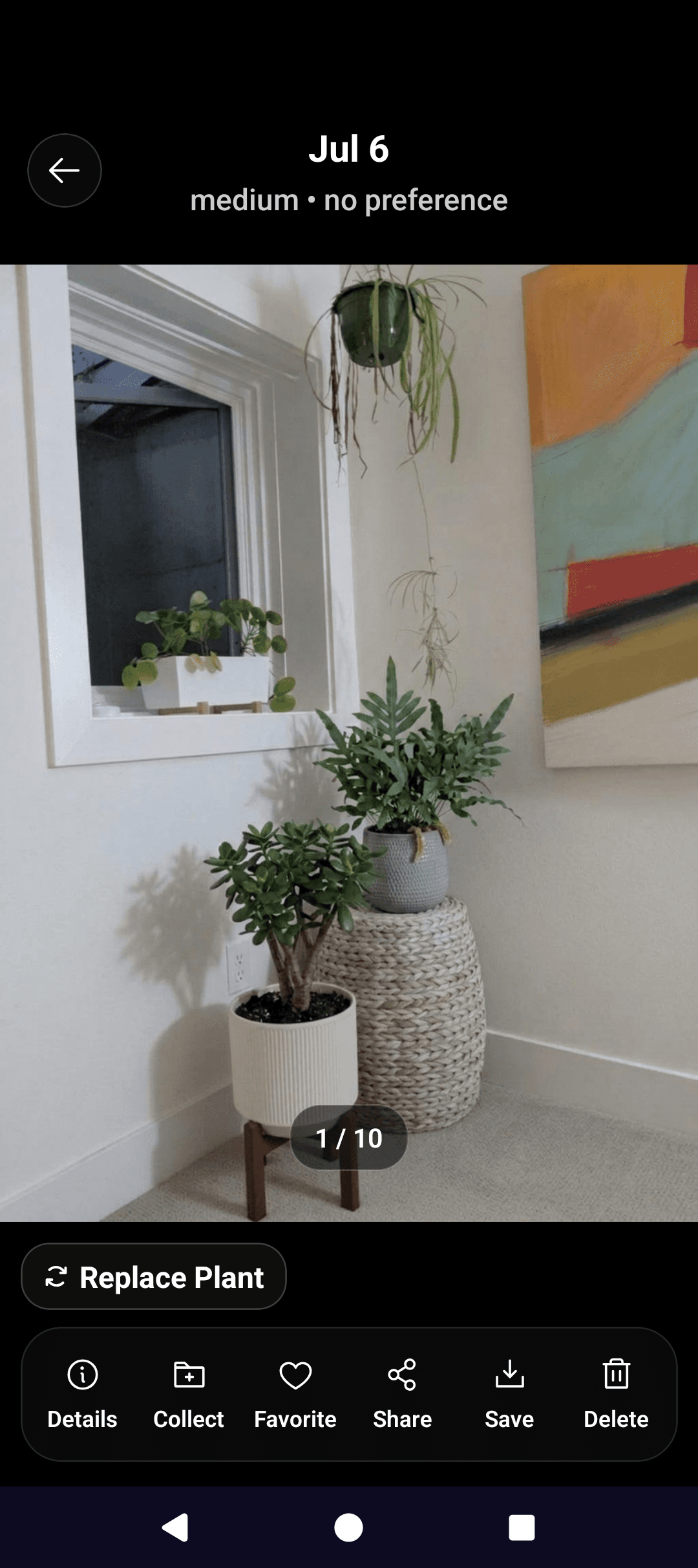 Planterior design screen showing a saved plant layout in a room